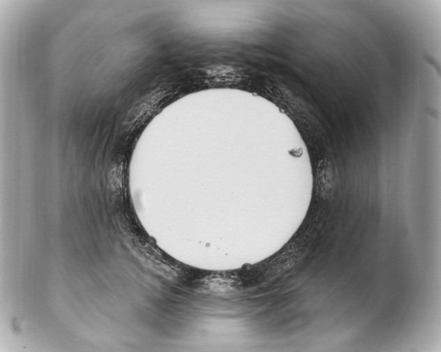 X0000102410756200808291507