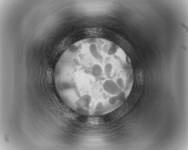 X0000102410757200808291507