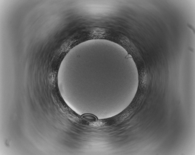 X0000102410759200808291507