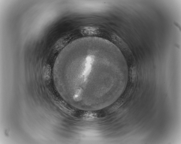 X0000102410760200808291507