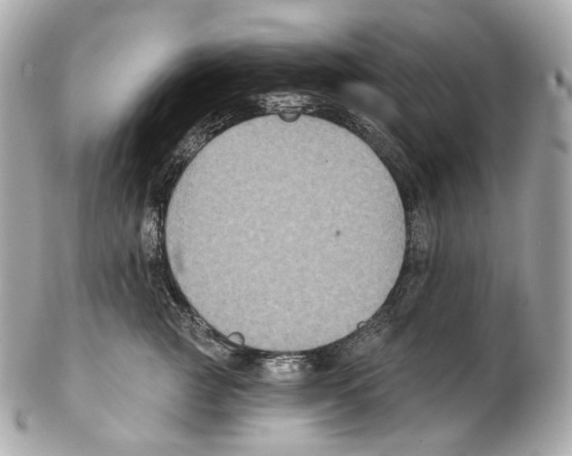 X0000102410761200808291507