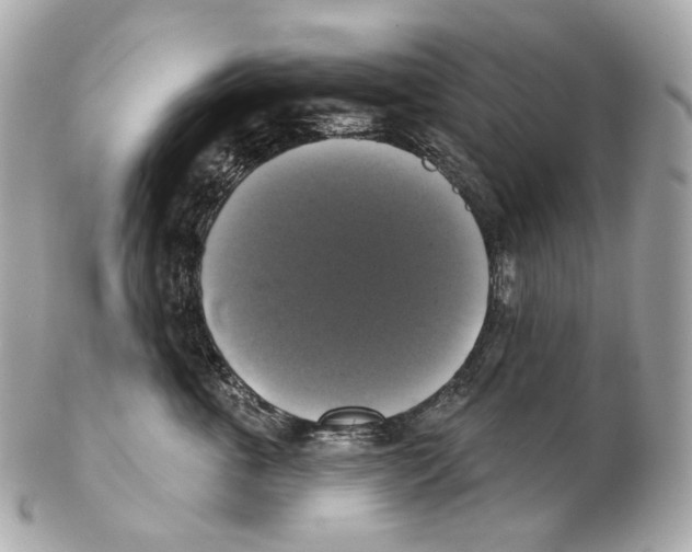 X0000102410763200808291507