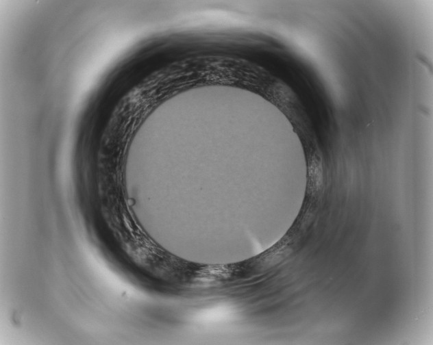 X0000102410765200808291507