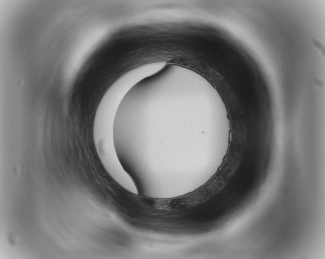 X0000102410766200808291507