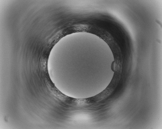 X0000102410767200808291507