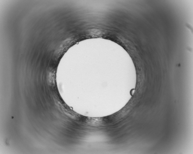 X0000102410768200808291507