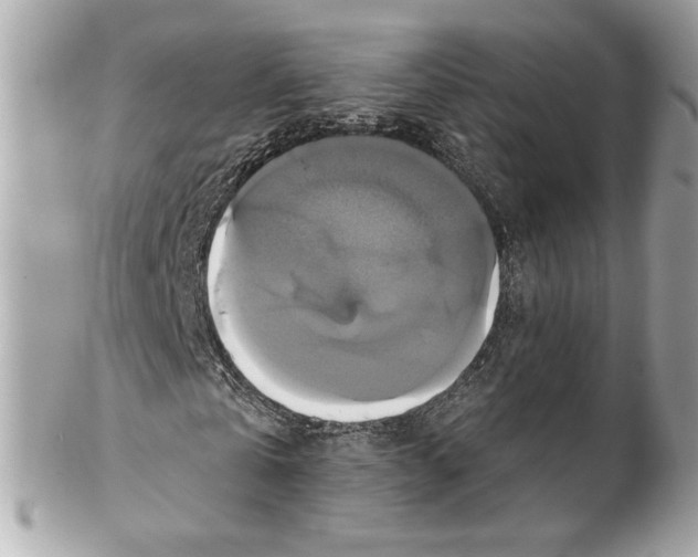 X0000102410769200808291507