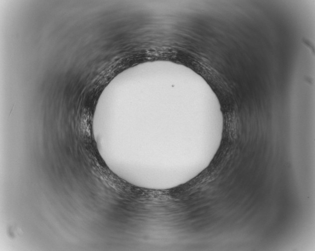 X0000102410770200808291507