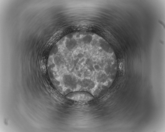 X0000102410771200808291507