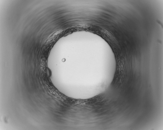 X0000102410773200808291507