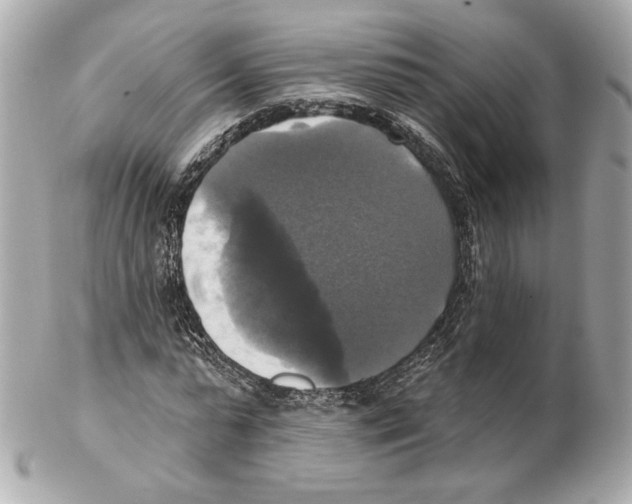 X0000102410775200808291507