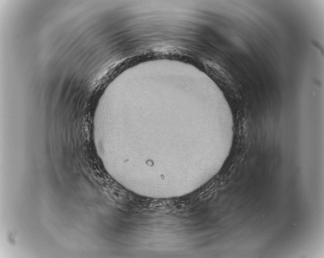 X0000102410776200808291507