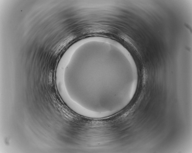 X0000102410777200808291507