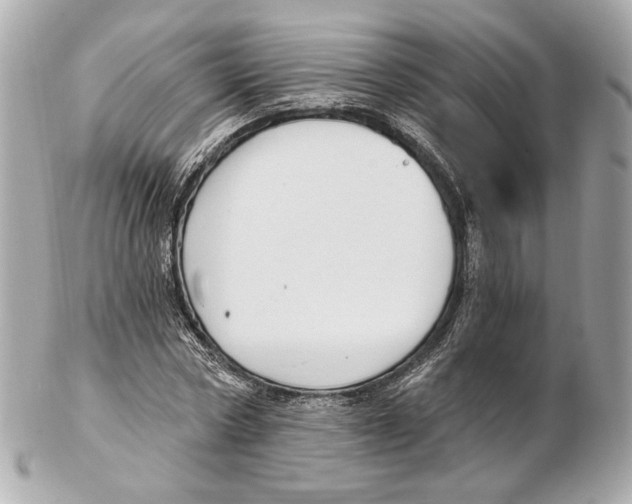 X0000102410778200808291507