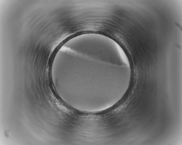 X0000102410779200808291507