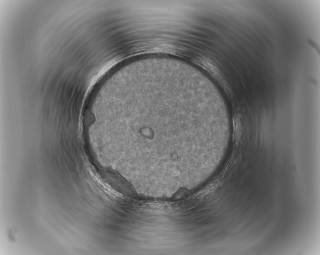 X0000102410780200808291507