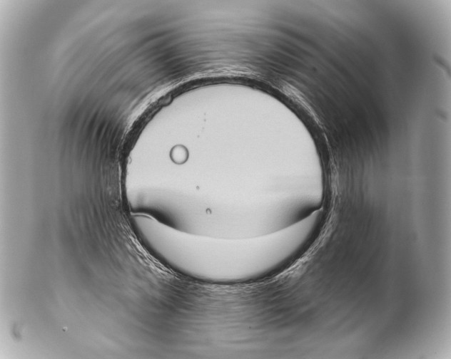 X0000102410781200808291507