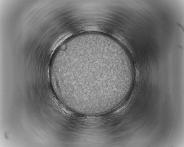 X0000102410782200808291507