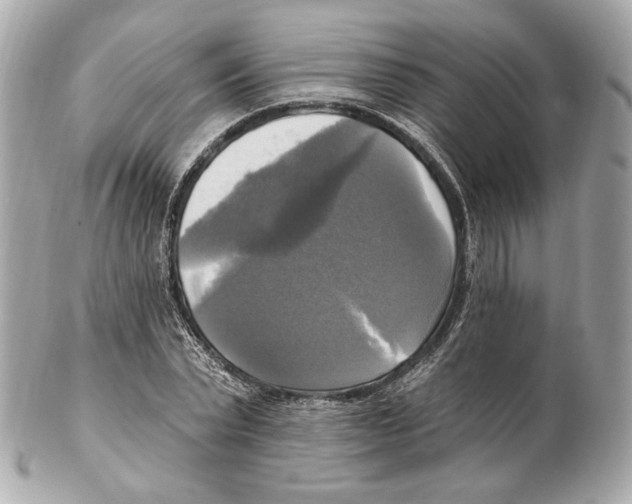 X0000102410783200808291507