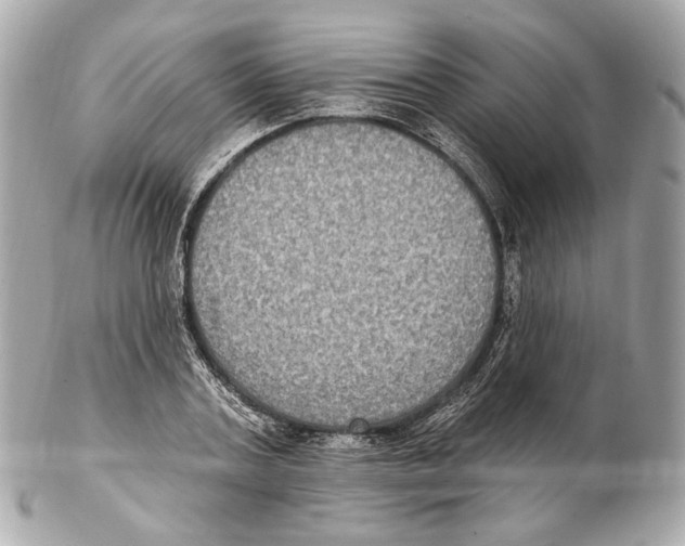 X0000102410787200808291506