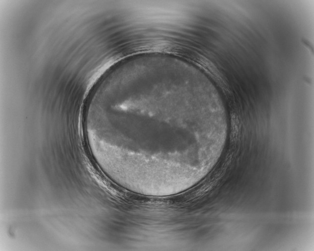 X0000102410788200808291506