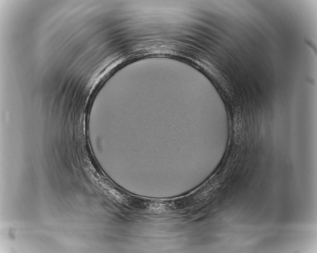 X0000102410790200808291506