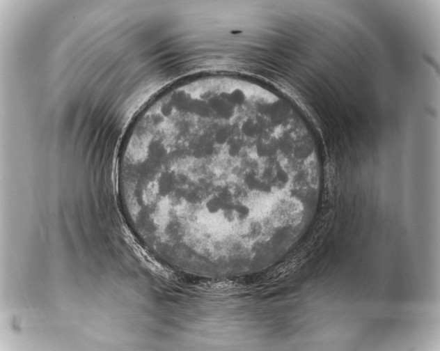 X0000102410791200808291506