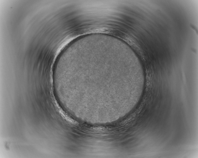 X0000102410792200808291506