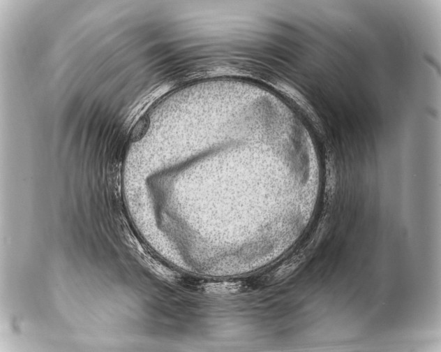 X0000102410793200808291506