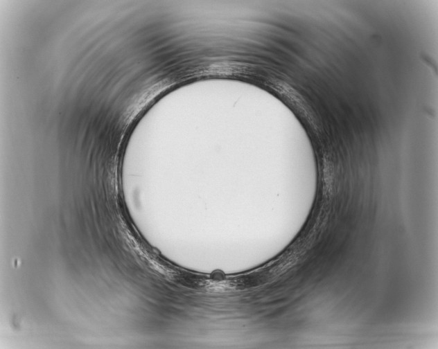 X0000102410794200808291506