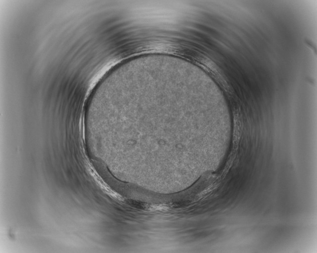 X0000102410796200808291506