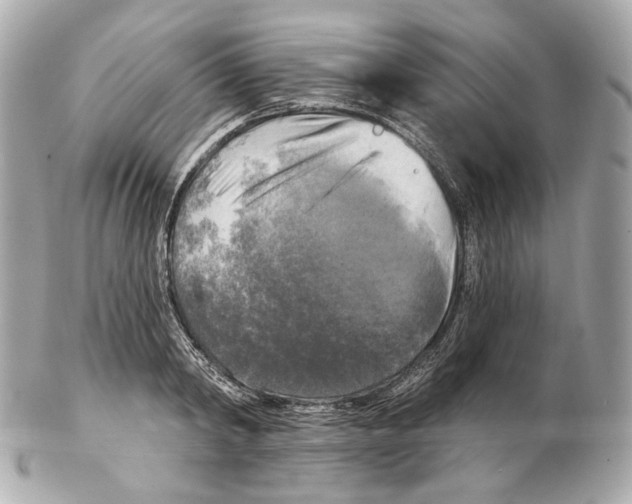 X0000102410798200808291506