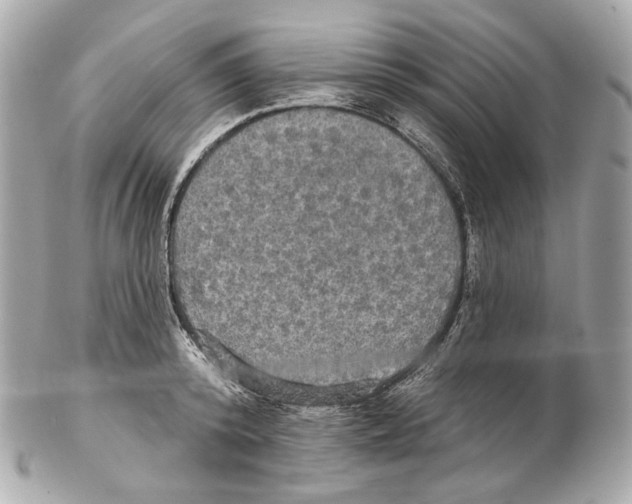 X0000102410800200808291506