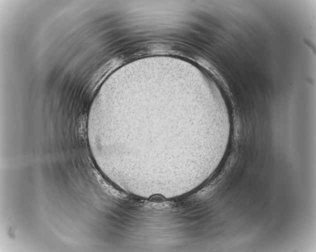 X0000102410801200808291506