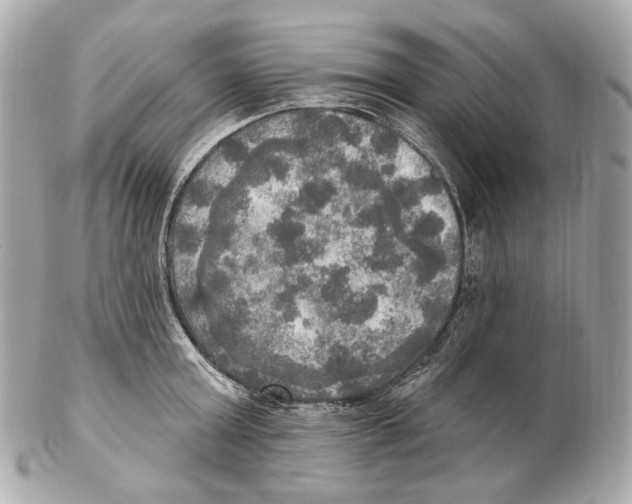 X0000102410803200808291506