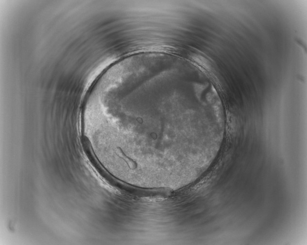 X0000102410804200808291506