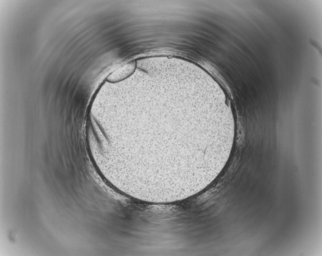 X0000102410805200808291506