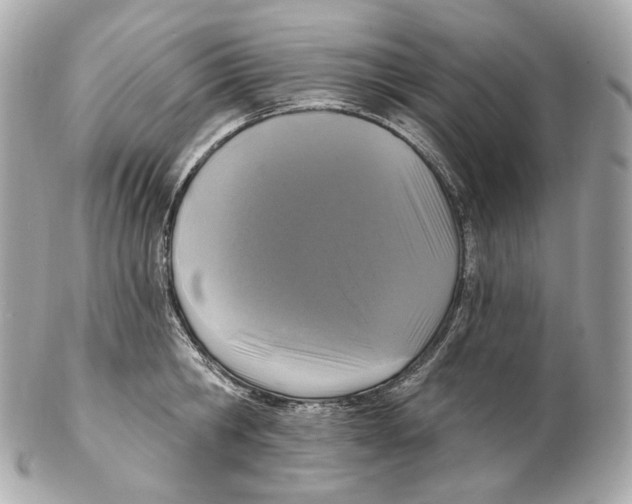 X0000102410806200808291506