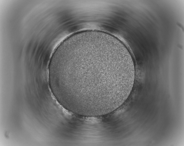 X0000102410807200808291506