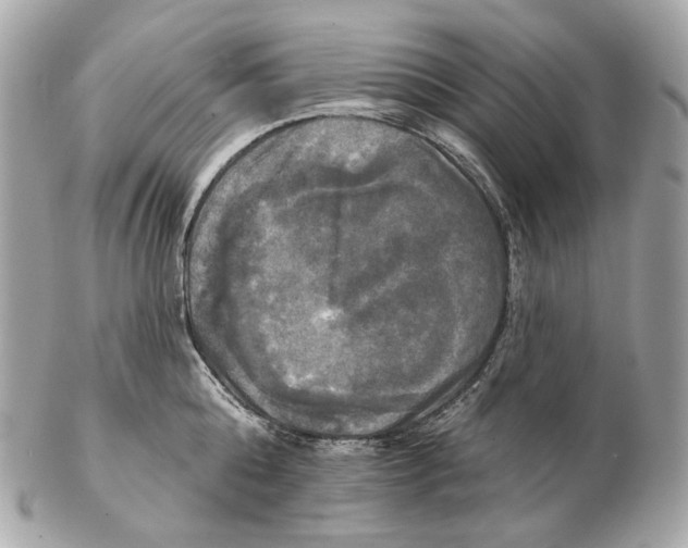 X0000102410808200808291506