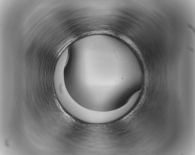 X0000102410809200808291506