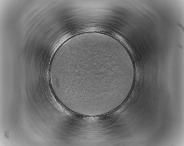 X0000102410810200808291506