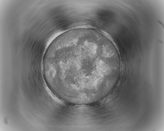 X0000102410811200808291506