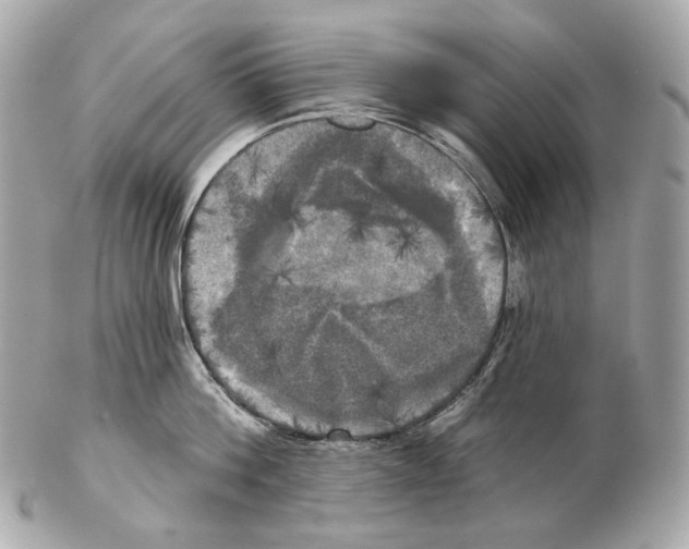 X0000102410812200808291506