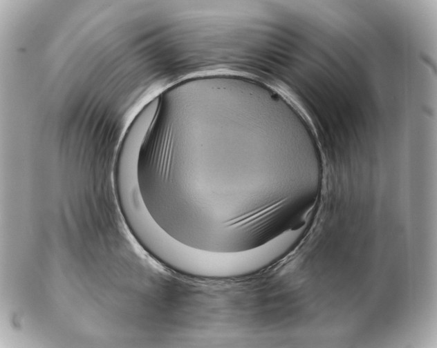 X0000102410813200808291506