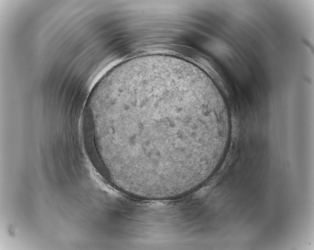 X0000102410814200808291506