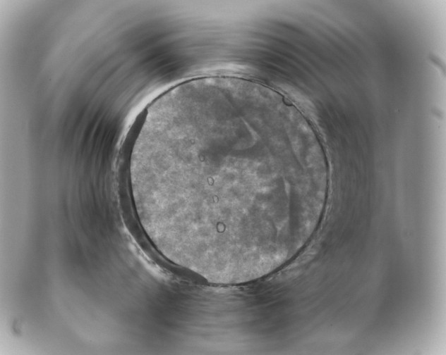 X0000102410816200808291506