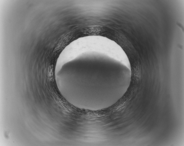 X0000102410818200808291505