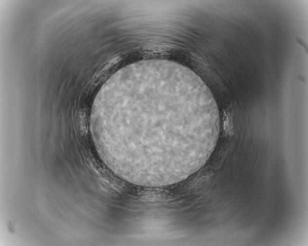 X0000102410819200808291505