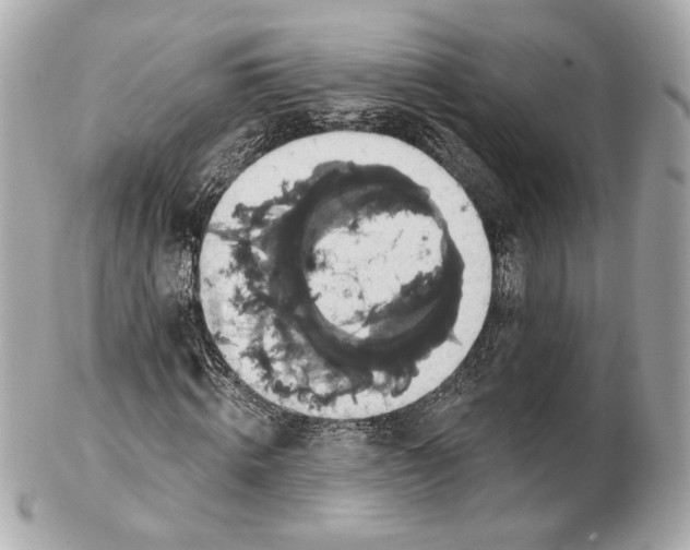 X0000102410820200808291505